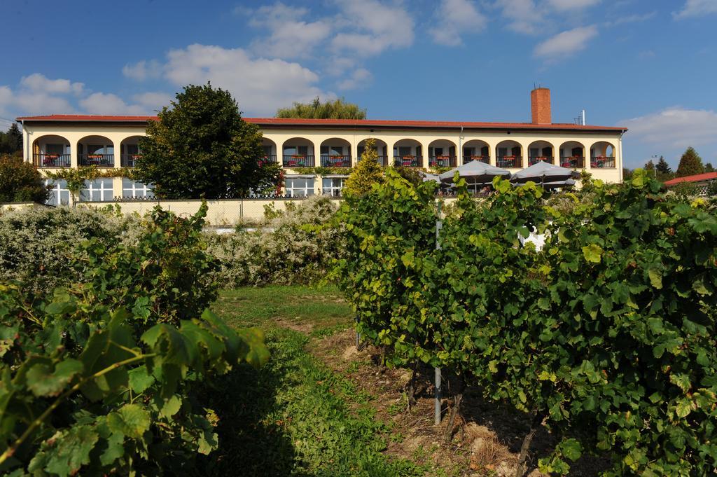 Hotel Rebschule Freyburg Exterior photo